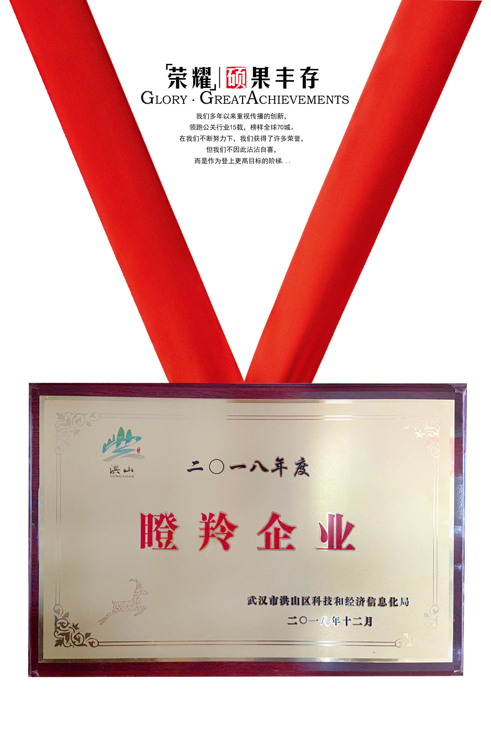 2018年度瞪羚企业