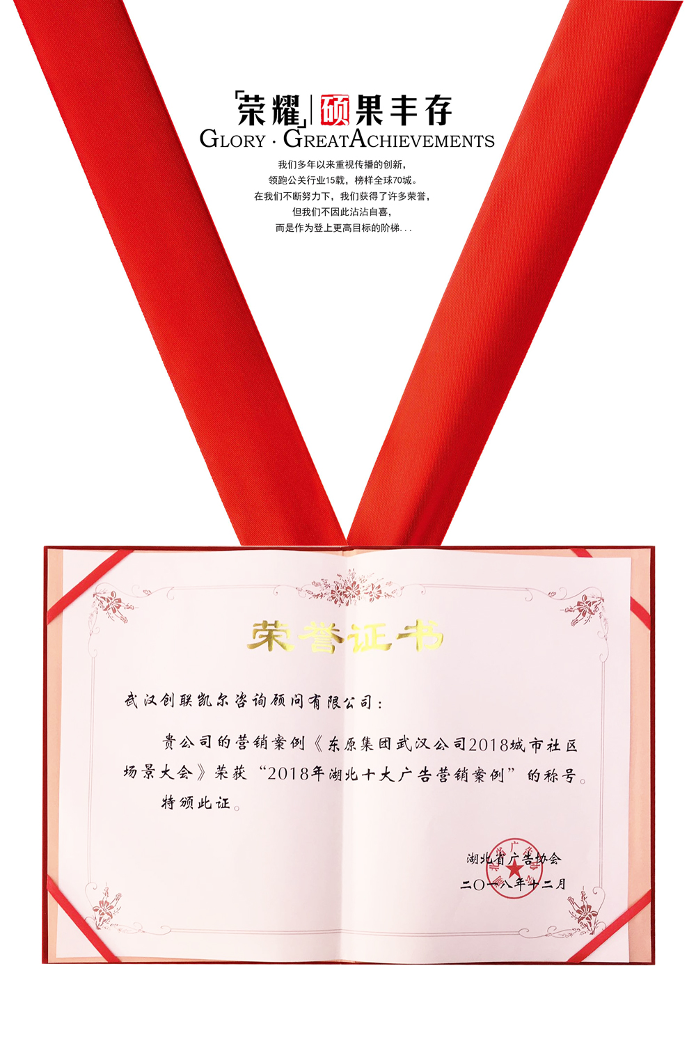 2018年湖北十大广告营销案例
