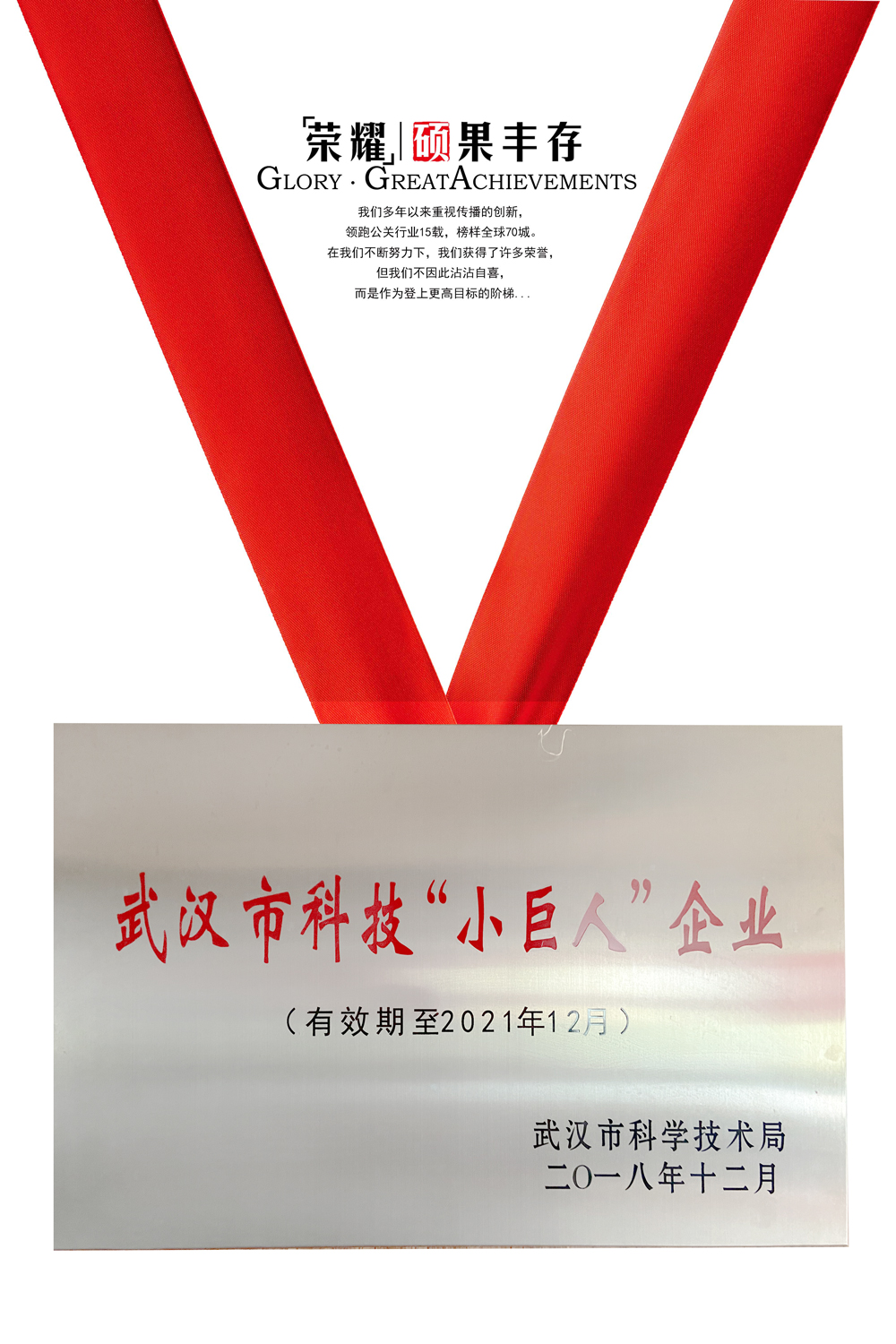 武汉市科技“小巨人”企业